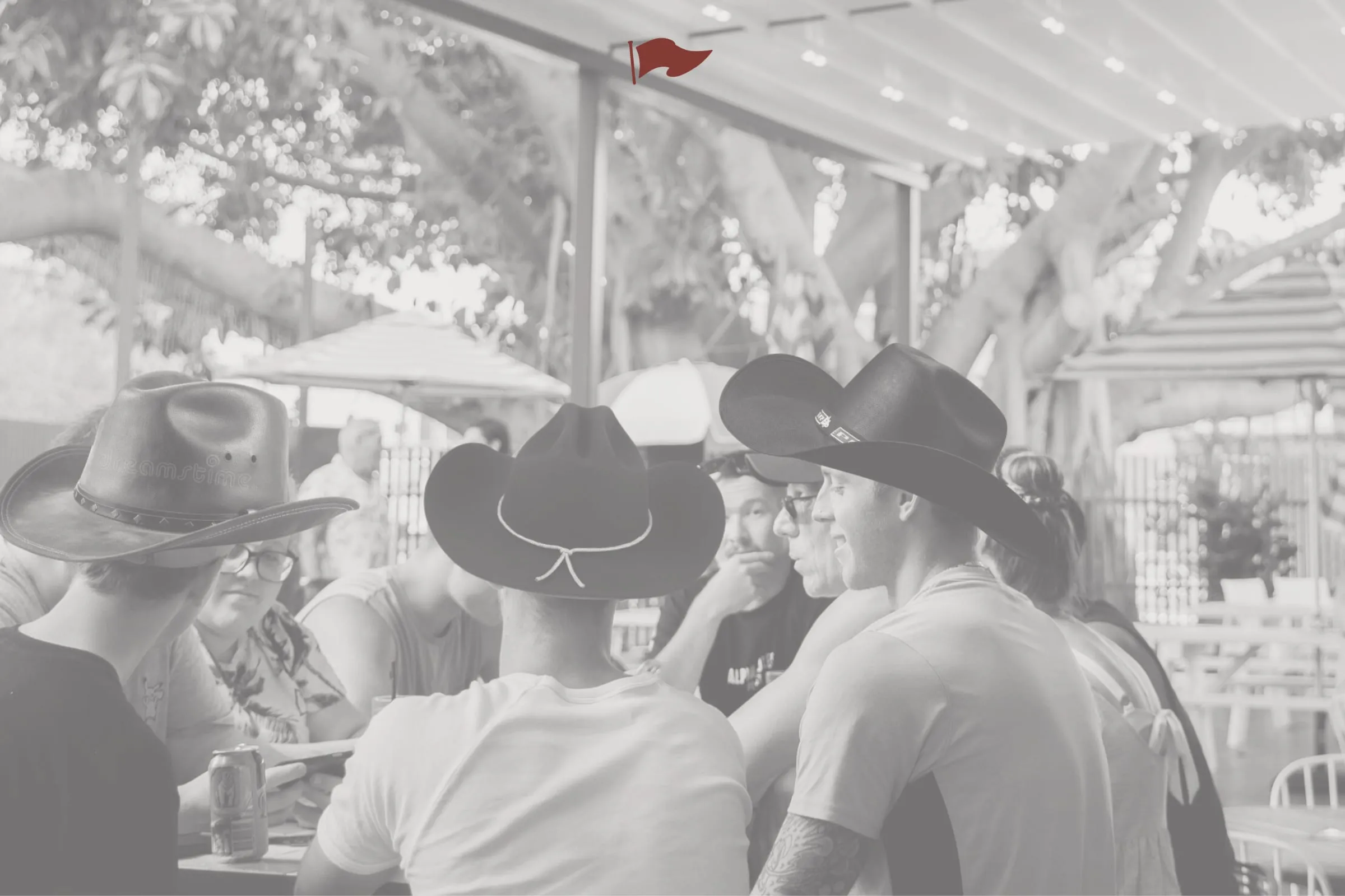 Budgie’s Backyard Country Night